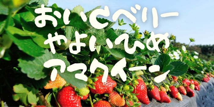 坂口ファームさん