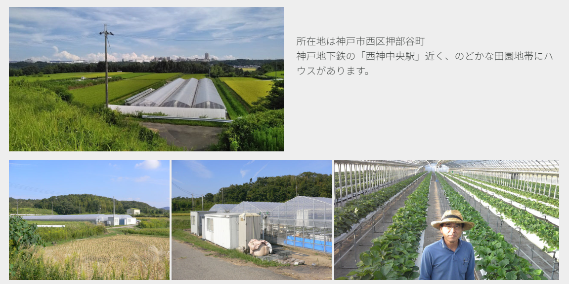 さかぐちファーム