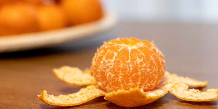 みかんの履歴書🍊